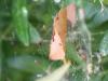 360119 – Photo : H. Dumas – France (13)